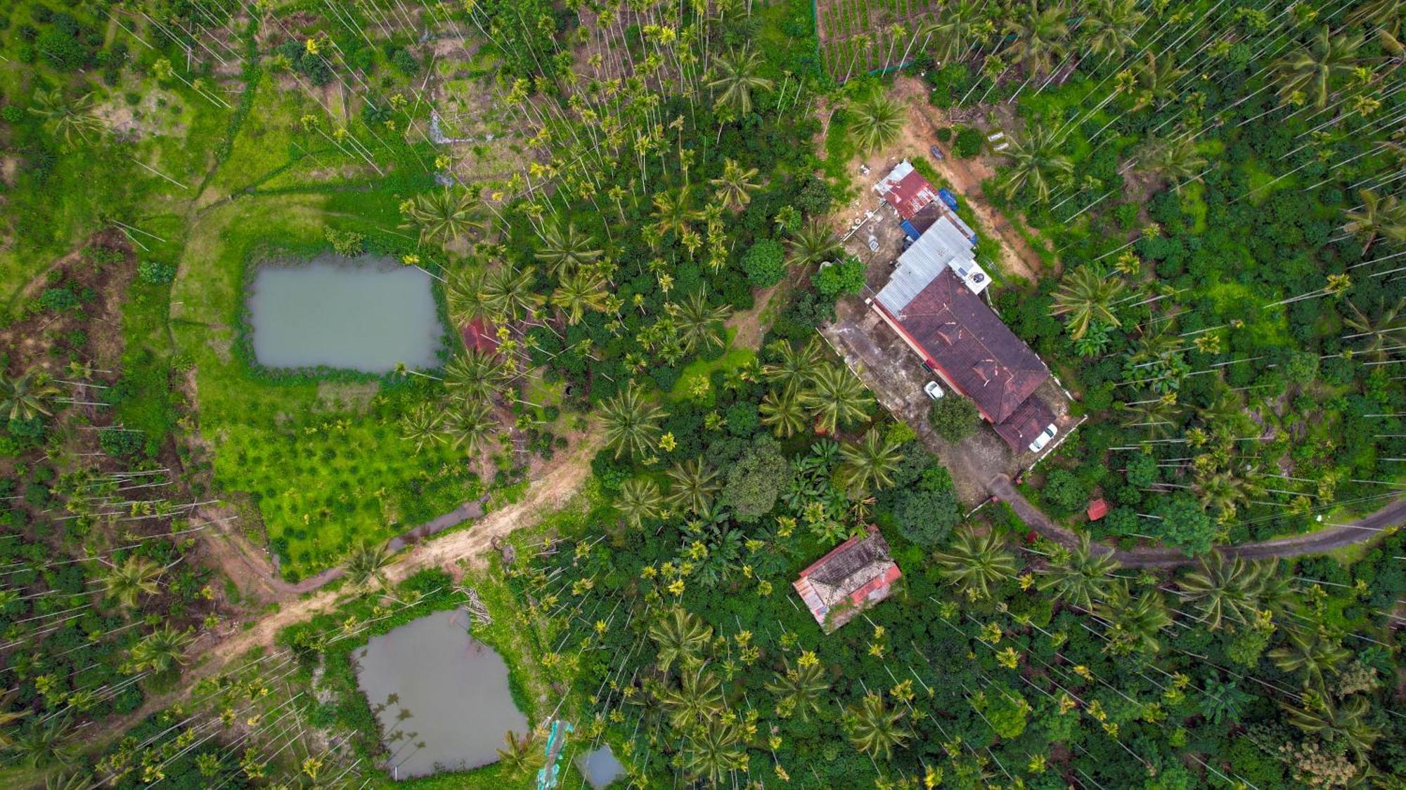 Апартаменти Wayanad Palm Grove Retreat G Floor Султан-Батері Екстер'єр фото