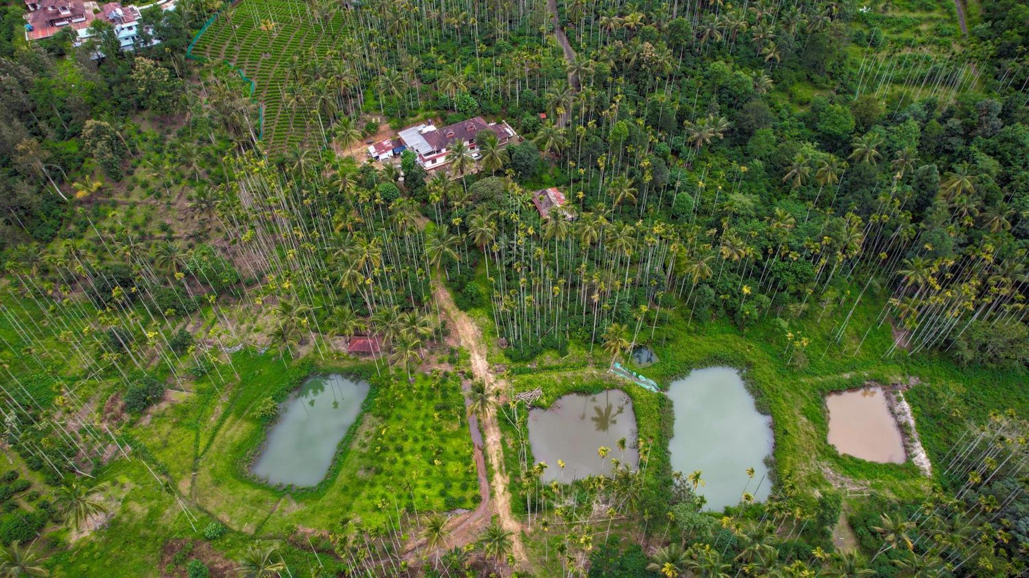 Апартаменти Wayanad Palm Grove Retreat G Floor Султан-Батері Екстер'єр фото