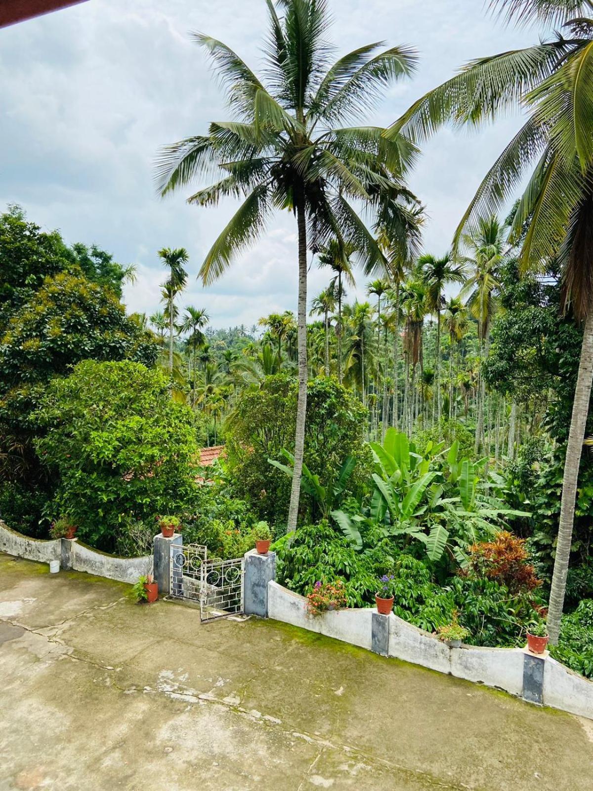 Апартаменти Wayanad Palm Grove Retreat G Floor Султан-Батері Екстер'єр фото